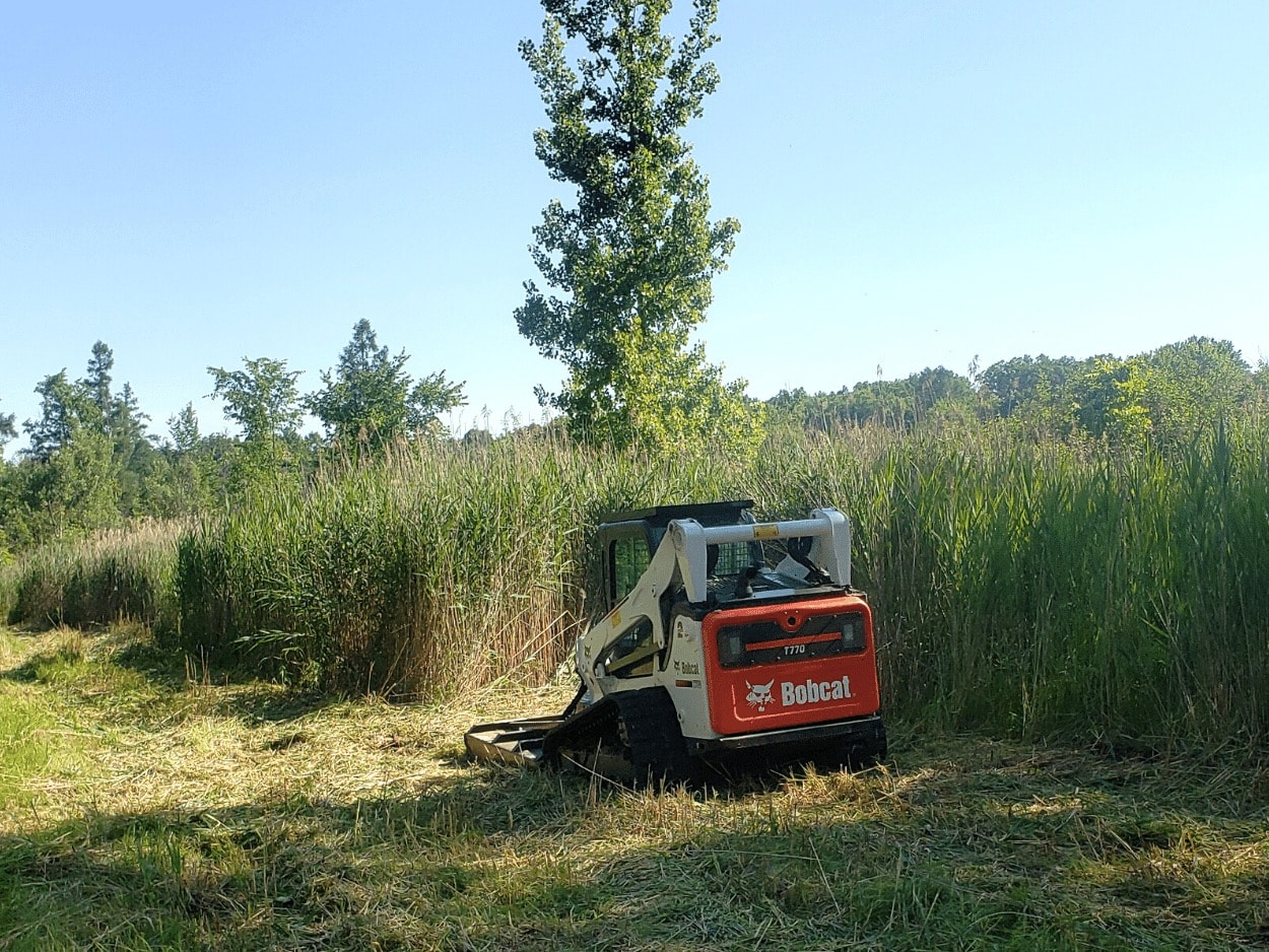 Forestry excavator and mulcher clearing woodland